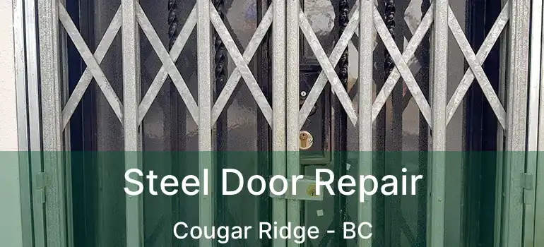  Steel Door Repair Cougar Ridge - BC