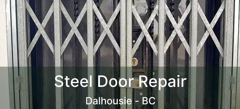 Steel Door Repair Dalhousie - BC