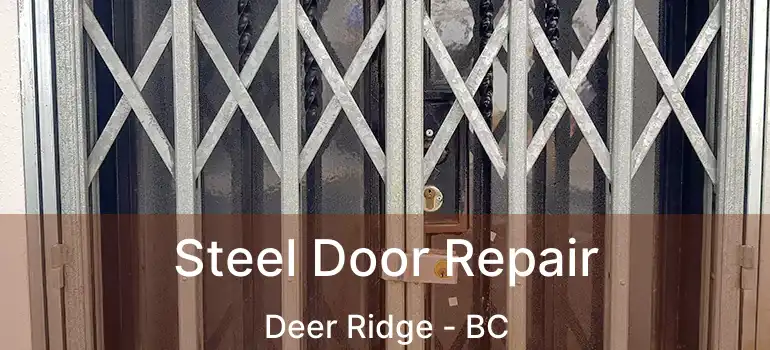  Steel Door Repair Deer Ridge - BC