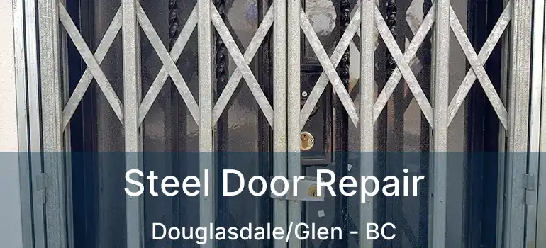  Steel Door Repair Douglasdale/Glen - BC