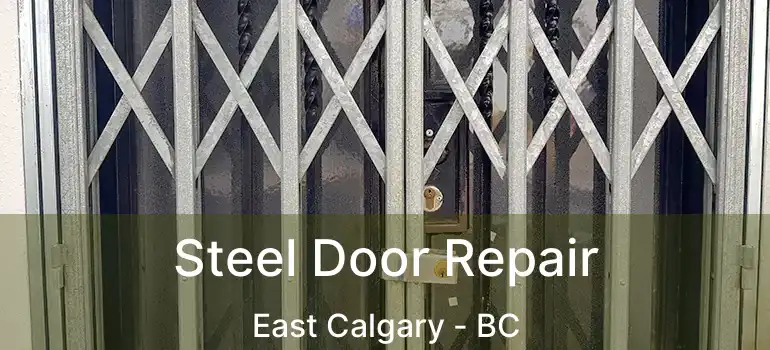  Steel Door Repair East Calgary - BC