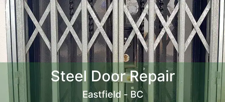  Steel Door Repair Eastfield - BC