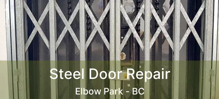  Steel Door Repair Elbow Park - BC