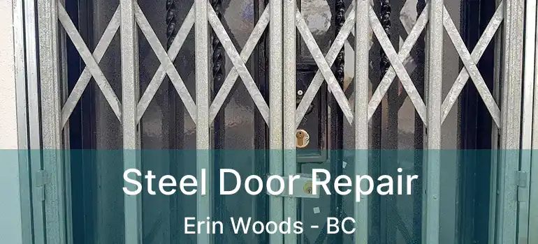  Steel Door Repair Erin Woods - BC