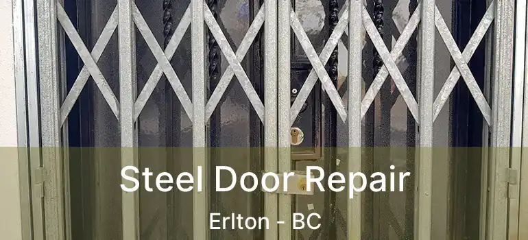  Steel Door Repair Erlton - BC