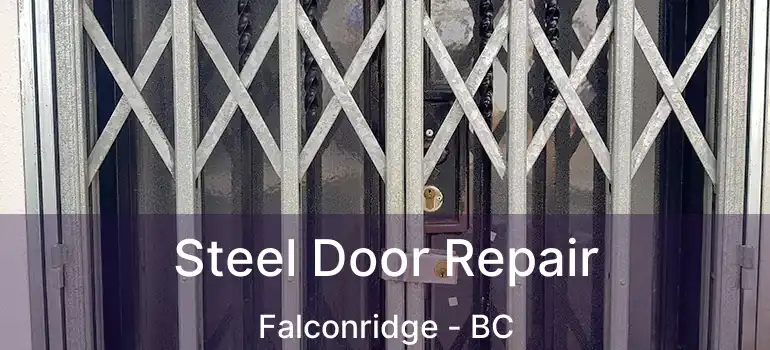  Steel Door Repair Falconridge - BC