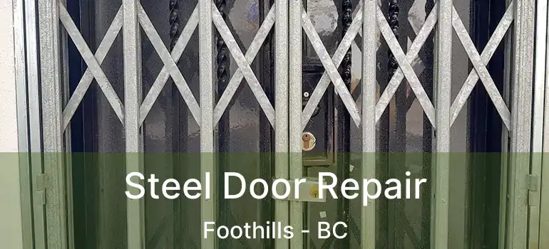  Steel Door Repair Foothills - BC
