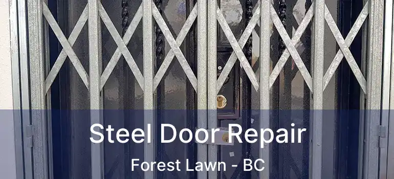  Steel Door Repair Forest Lawn - BC