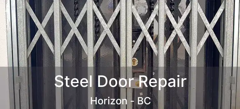  Steel Door Repair Horizon - BC