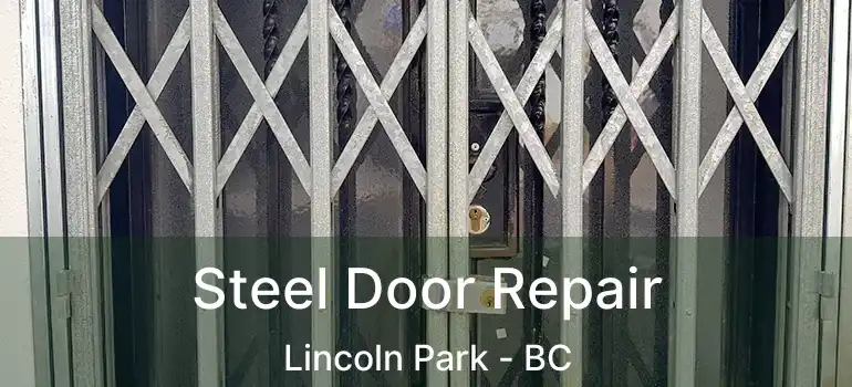 Steel Door Repair Lincoln Park - BC