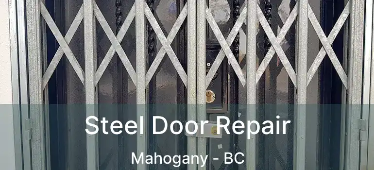  Steel Door Repair Mahogany - BC