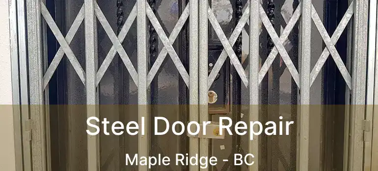  Steel Door Repair Maple Ridge - BC