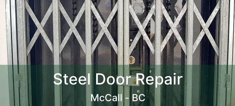  Steel Door Repair McCall - BC