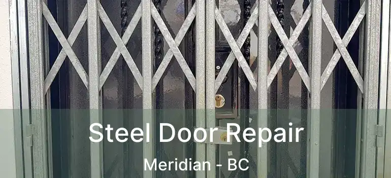  Steel Door Repair Meridian - BC