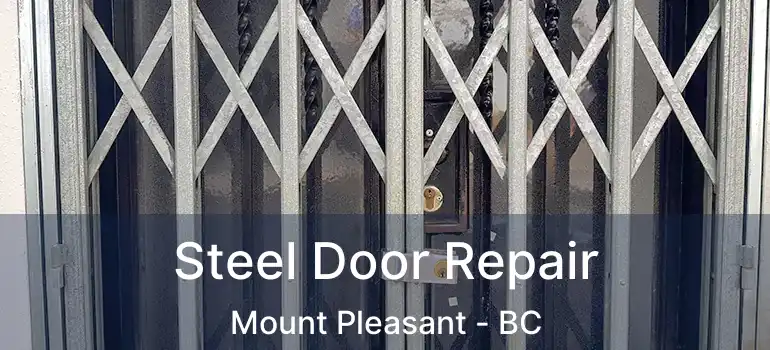  Steel Door Repair Mount Pleasant - BC