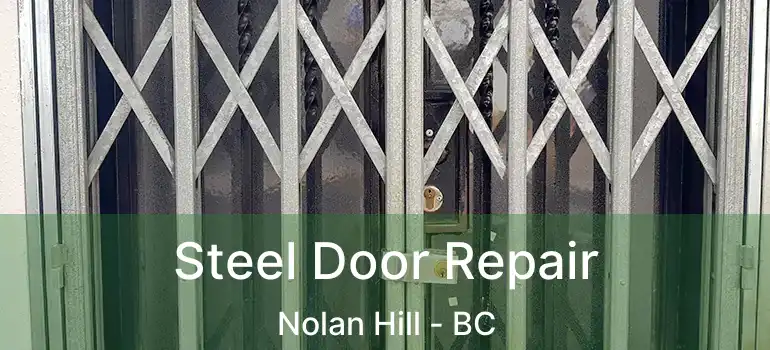  Steel Door Repair Nolan Hill - BC