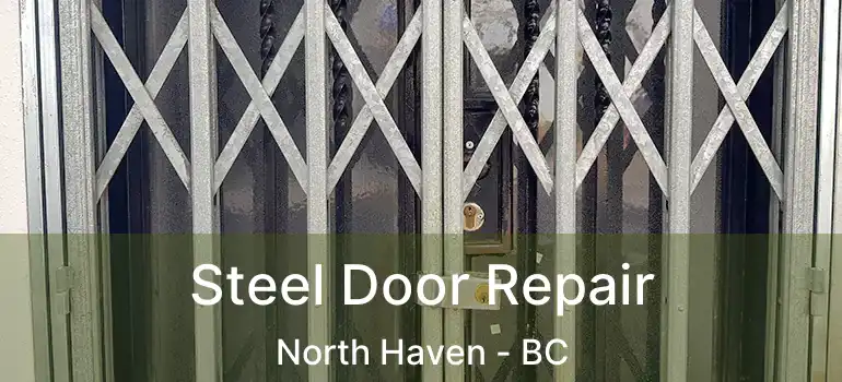  Steel Door Repair North Haven - BC