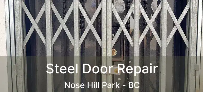  Steel Door Repair Nose Hill Park - BC