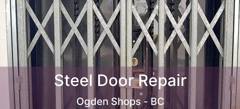  Steel Door Repair Ogden Shops - BC