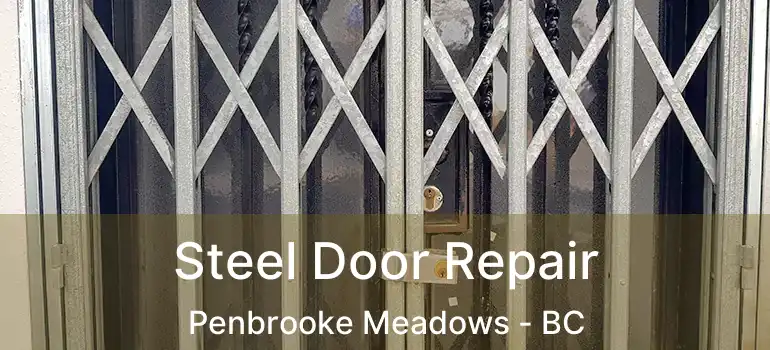  Steel Door Repair Penbrooke Meadows - BC