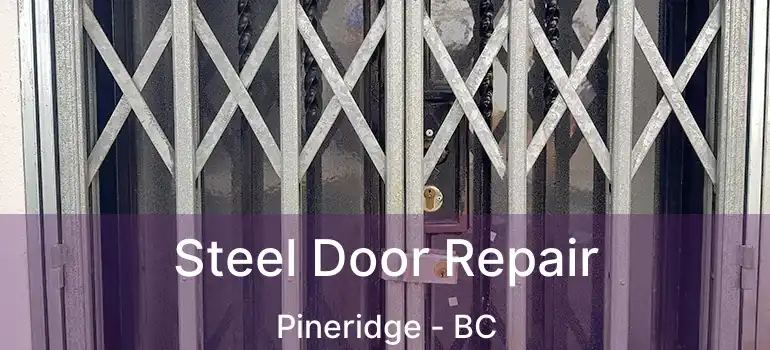  Steel Door Repair Pineridge - BC