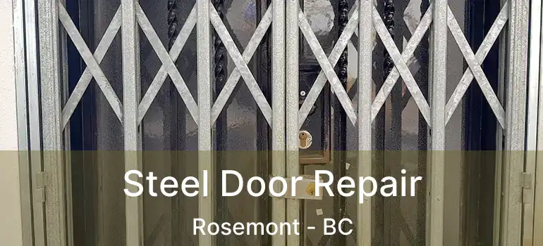  Steel Door Repair Rosemont - BC