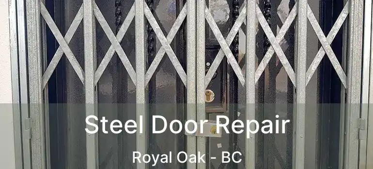 Steel Door Repair Royal Oak - BC