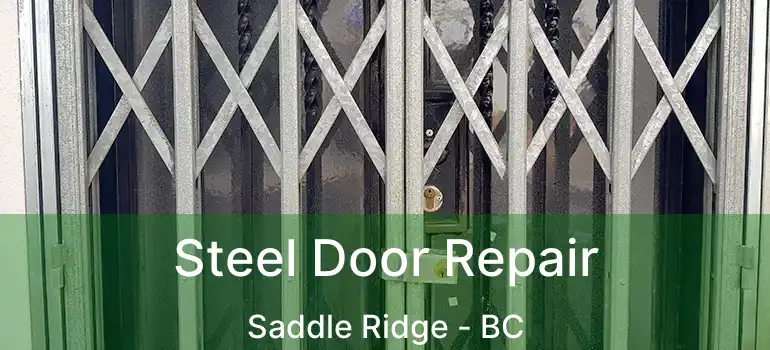  Steel Door Repair Saddle Ridge - BC