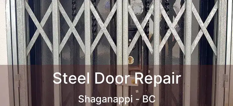  Steel Door Repair Shaganappi - BC