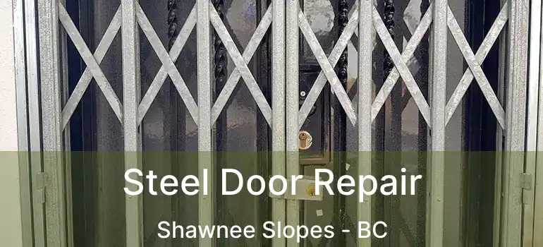  Steel Door Repair Shawnee Slopes - BC