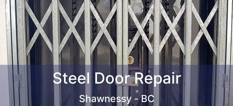  Steel Door Repair Shawnessy - BC