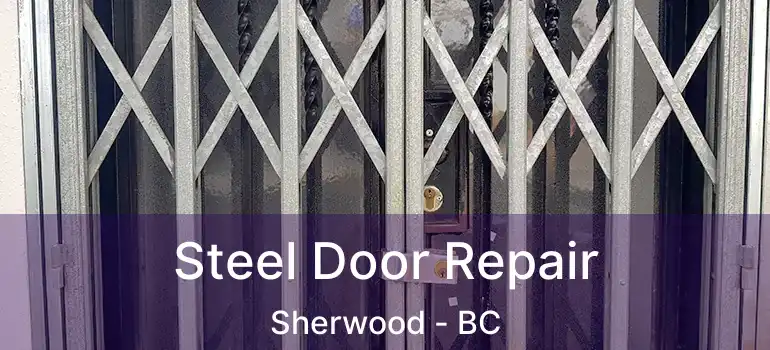  Steel Door Repair Sherwood - BC