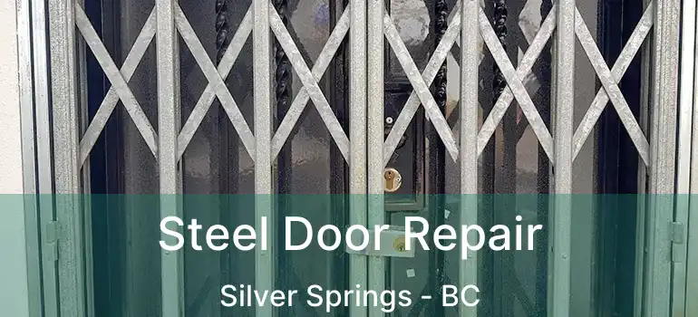  Steel Door Repair Silver Springs - BC