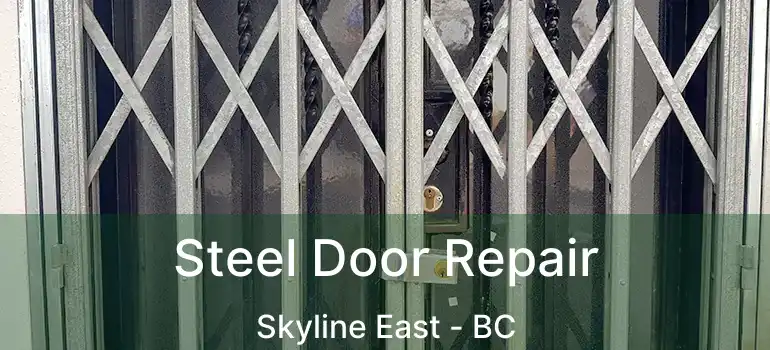  Steel Door Repair Skyline East - BC