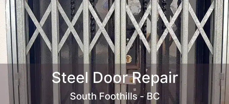  Steel Door Repair South Foothills - BC