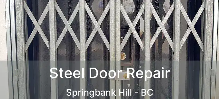  Steel Door Repair Springbank Hill - BC