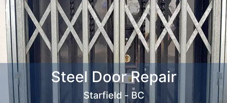  Steel Door Repair Starfield - BC