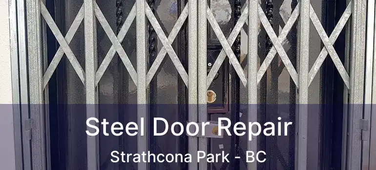  Steel Door Repair Strathcona Park - BC