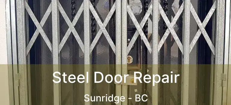  Steel Door Repair Sunridge - BC