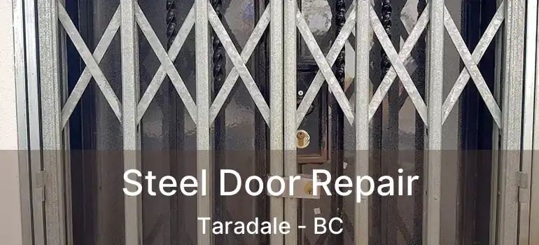  Steel Door Repair Taradale - BC