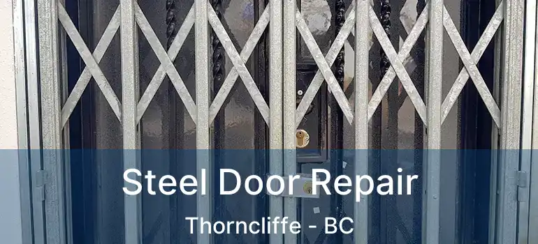  Steel Door Repair Thorncliffe - BC