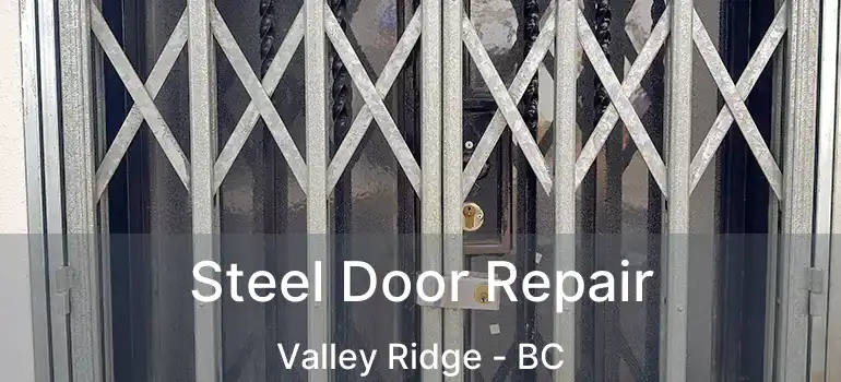  Steel Door Repair Valley Ridge - BC