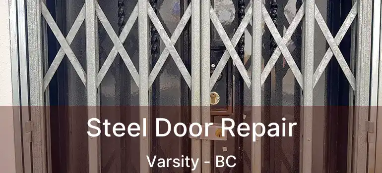  Steel Door Repair Varsity - BC