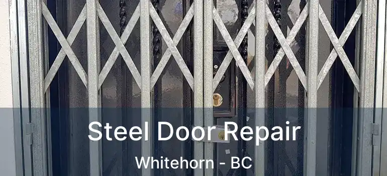 Steel Door Repair Whitehorn - BC