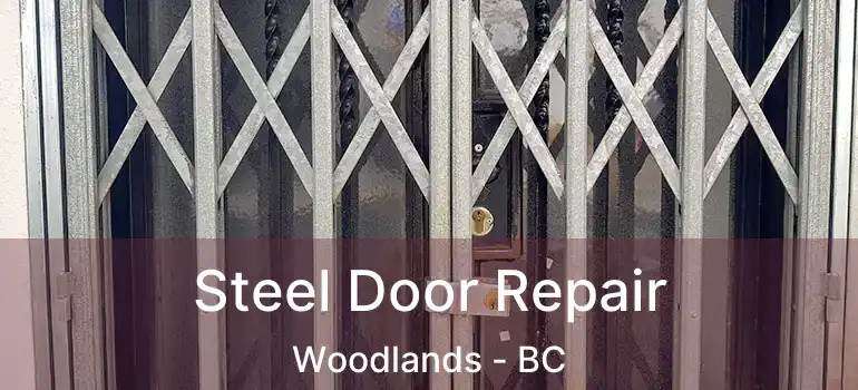  Steel Door Repair Woodlands - BC