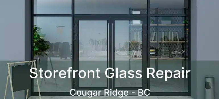  Storefront Glass Repair Cougar Ridge - BC