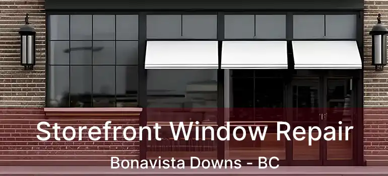  Storefront Window Repair Bonavista Downs - BC