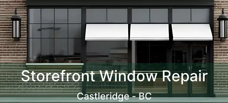  Storefront Window Repair Castleridge - BC