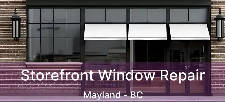  Storefront Window Repair Mayland - BC