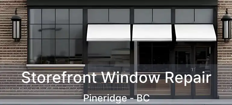  Storefront Window Repair Pineridge - BC